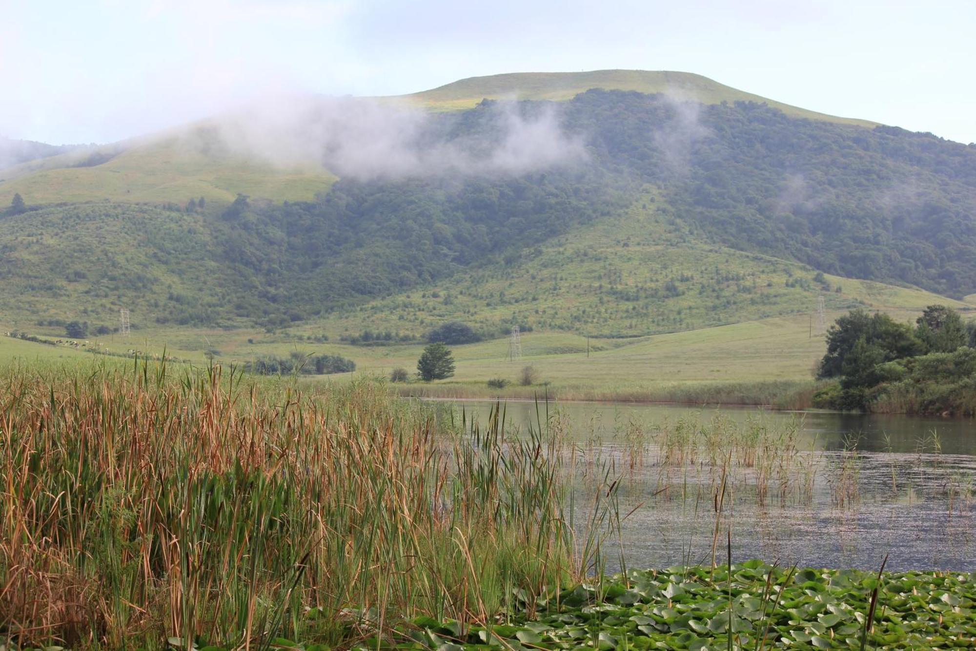 Beacon Vlei Guest Farm Hotel Balgowan Buitenkant foto